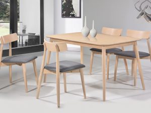 Tom Chair & Dinsor Table Set in White Oil Finish